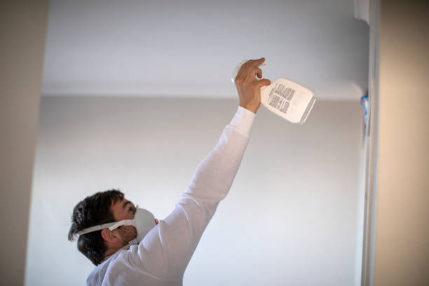 Best Mold Remediation  in Rosebud, TX