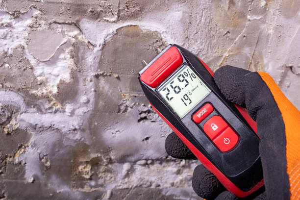 Best Certified Mold Removal  in Rosebud, TX