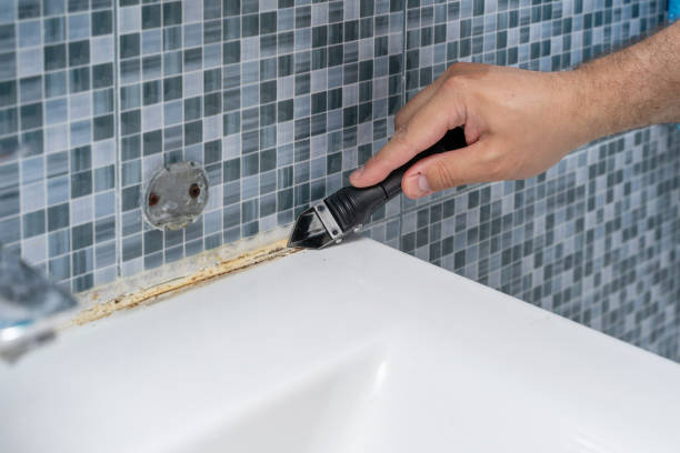Best Emergency Mold Removal  in Rosebud, TX