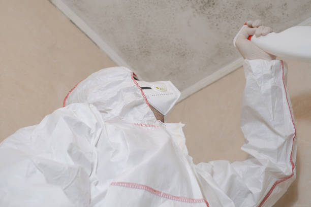 Best Mold Testing  in Rosebud, TX