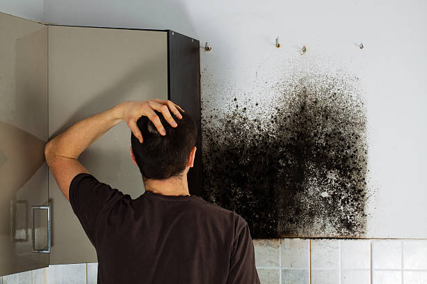 Best Fast Mold Removal  in Rosebud, TX